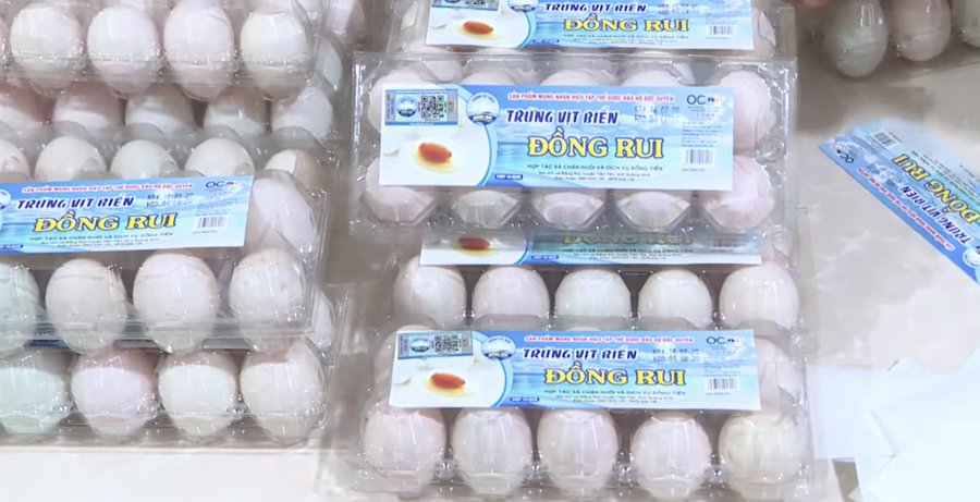 Trứng vịt biển, đặc sản của Đồng Rui. Trứng vịt biển, đặc sản của Đồng Rui.