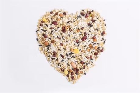 Vong 3 cang tron goi cam neu an dung cach ngay sau khi tap luyen - Anh 3