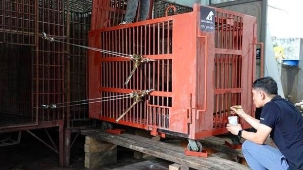 Hai cá thể gấu được nhân viên chăm sóc, kiểm tra sức khỏe và tiếp nước, lá chuối và thức ăn trong suốt quá trình di chuyển.