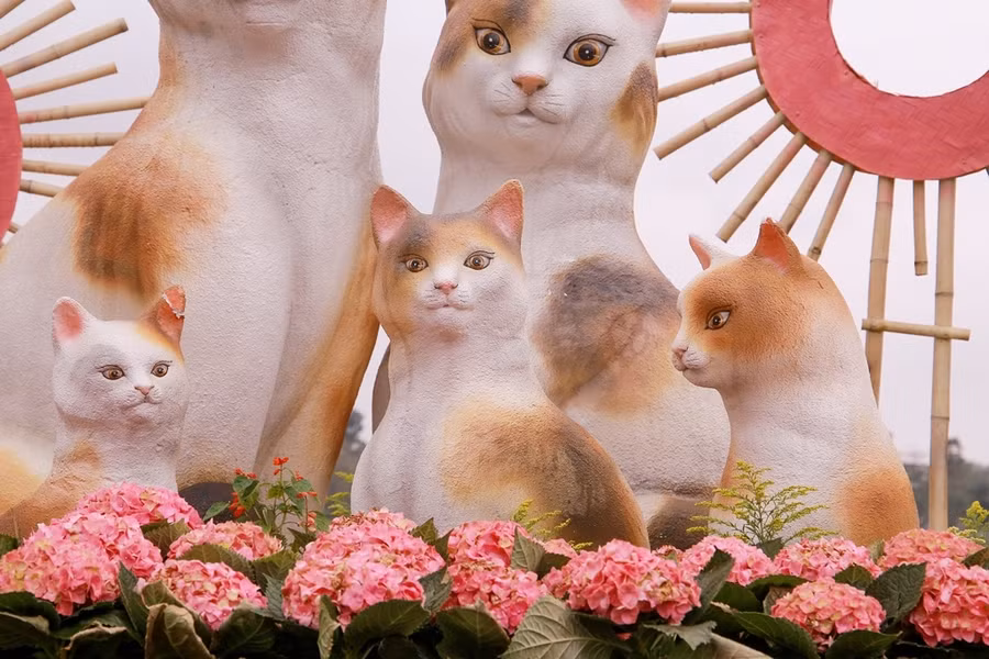 Tạo hình mèo con lớn có chiều cao 0,9m, chiều ngang 0,52m. Mèo con nhỏ có chiều cao 0,7m, chiều ngang 0,4m.