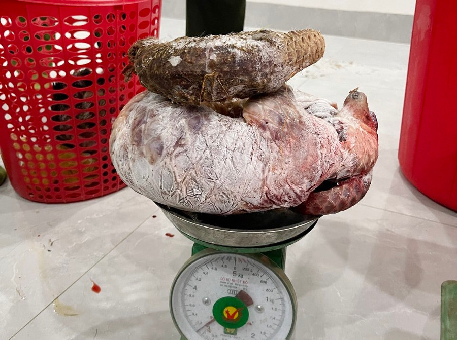 Trong số này, đặc biệt có 2 cá thể tê tê đã chết thuộc danh mục động vật nguy cấp, quý, hiếm.