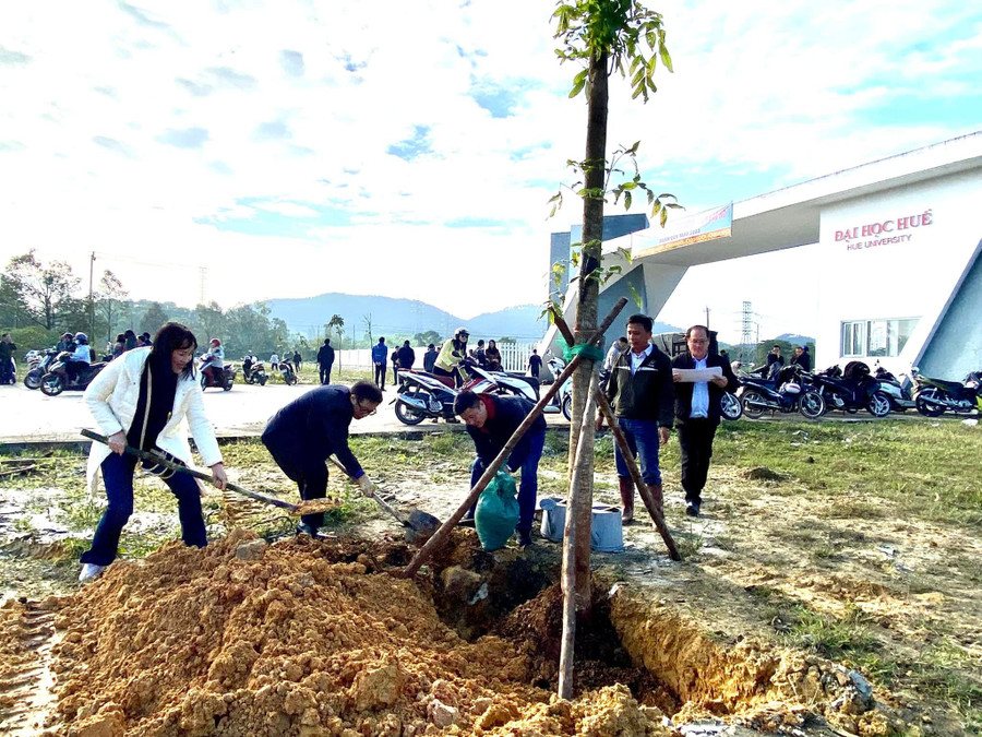 Giám đốc và 2 Phó Giám đốc Đại học Huế tiến hành trồng cây. Giám đốc và 2 Phó Giám đốc Đại học Huế tiến hành trồng cây.