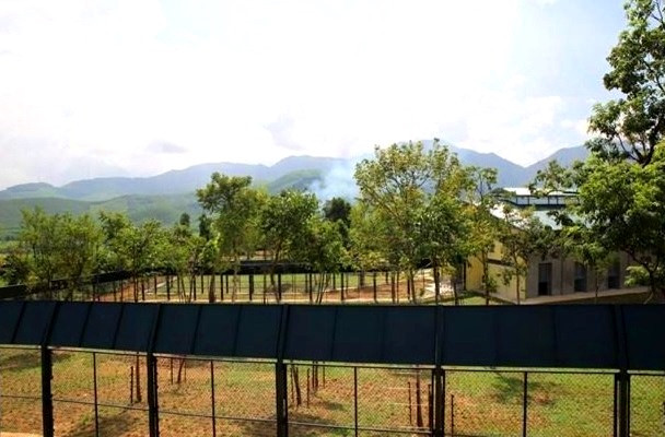 Khu bán hoang dã cho gấu tại Trung tâm cứu hộ Gấu Việt Nam II thuộc Vườn Quốc gia Bạch Mã, tỉnh Thừa Thiên - Huế (Ảnh: Tổ chức động vật châu Á cung cấp).