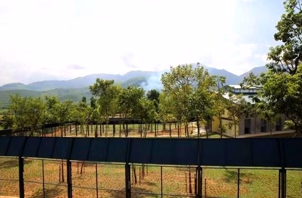 Khu bán hoang dã cho gấu tại Trung tâm cứu hộ Gấu Việt Nam II thuộc Vườn Quốc gia Bạch Mã, tỉnh Thừa Thiên - Huế (Ảnh: Tổ chức động vật châu Á cung cấp).