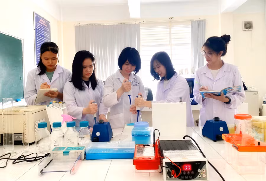 Sinh viên Trường ĐH Sư phạm, ĐH Huế khởi nghiệp từ những ý tưởng trong giáo dục. (Ảnh: M.L)