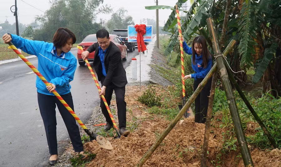 Trồng cây xanh trên một số tuyến đường. (Ảnh: Hoàng Hải).