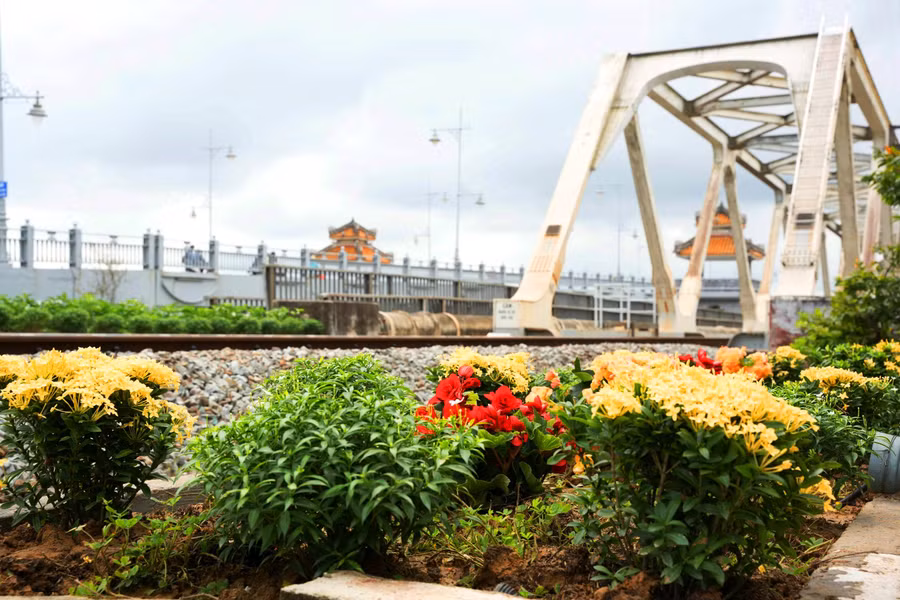 Nhiều cây hoa đẹp được trồng cạnh đường sắt dưới chân cầu Dã Viên, TP Huế.