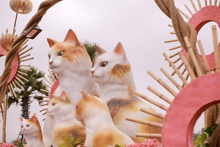 Đại gia đình mèo gồm 5 chú mèo nhìn rất thần sắc.