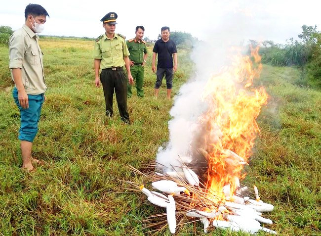 Đốt tiêu hủy các bẫy chim trời cò mồi bằng xốp. Đốt tiêu hủy các bẫy chim trời cò mồi bằng xốp.