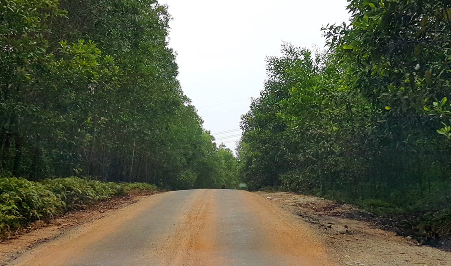 Con đường Tỉnh lộ 15 dẫn vào hiện trường khai thác đất trái phép chỉ cách Quốc lộ 1A chừng 2km, trên đường còn in rất nhiều dấu đất.