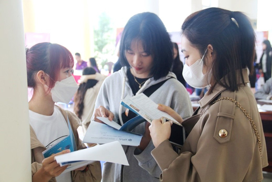 Các sinh viên tìm hiểu thông tin các doanh nghiệp.