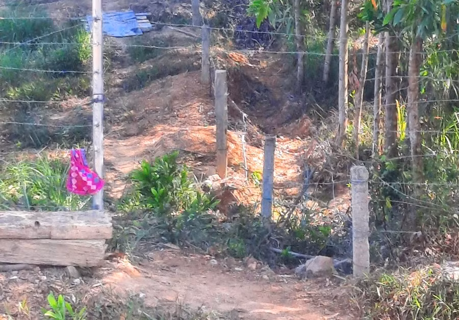 Nhiều điểm tại tỉnh Thừa Thiên - Huế và tỉnh Quảng Trị bị người dân tháo dỡ hàng rào, vi phạm nghiêm trọng an toàn giao thông.