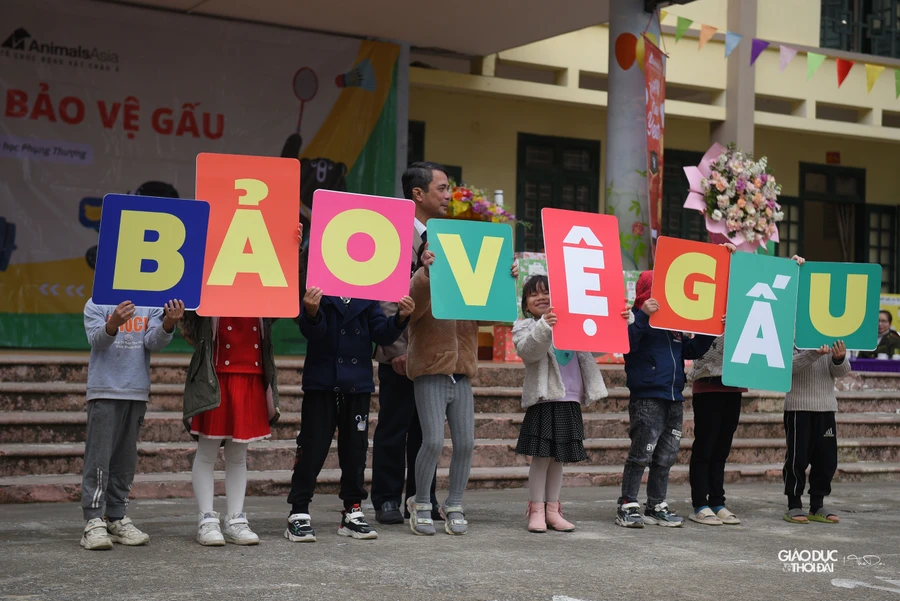 Học bảo vệ loài gấu từ những trò chơi vận động