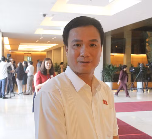 Đại biểu Triệu Thế Hùng