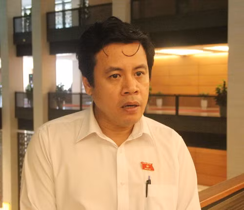 Đại biểu Trần Anh Tuấn