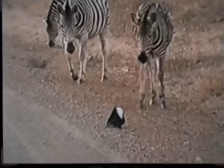 Loat anh chung to: co me thi cai quai gi tren doi nay cung xong! - Anh 6