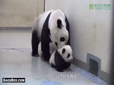 Loat anh chung to: co me thi cai quai gi tren doi nay cung xong! - Anh 9