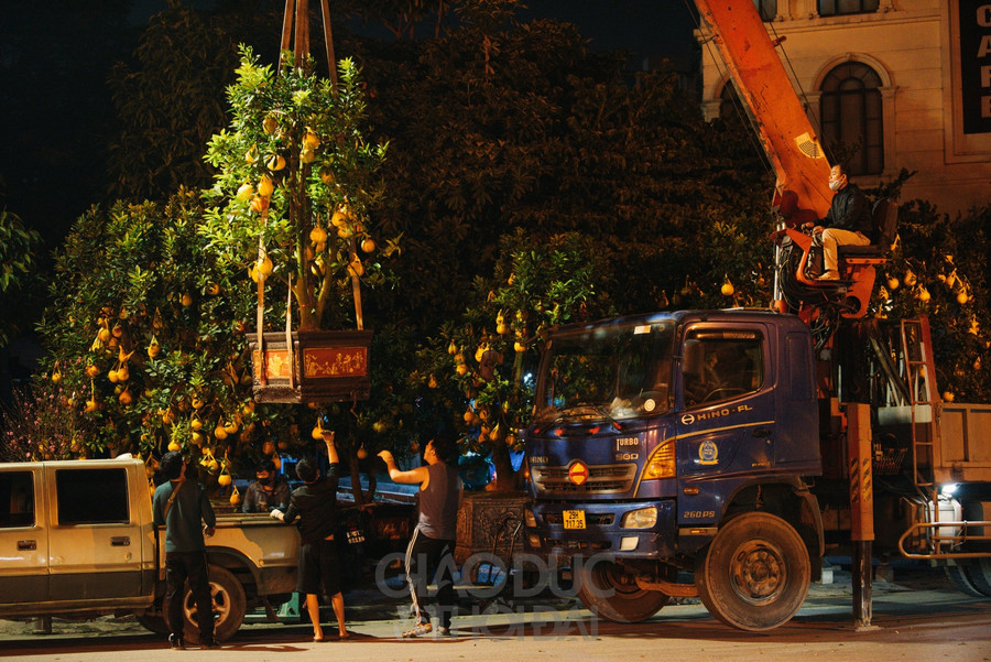 Về đêm nhiều điểm vẫn có khách đến mua hàng, đối với những cây cảnh lớn phải dùng xe cẩu để vận chuyển.