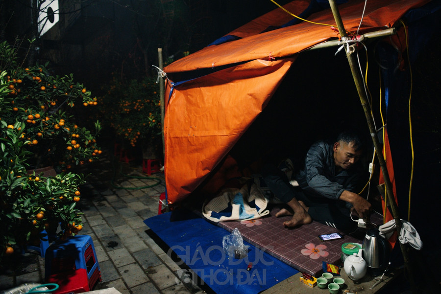 Tại điểm bán hàng của anh Sơn ( Đông Anh- Hà Nội), gia đình anh có 3 điểm bán cây cảnh phục vụ Tết, gia đình phải chia người ra để trông tại từng điểm.