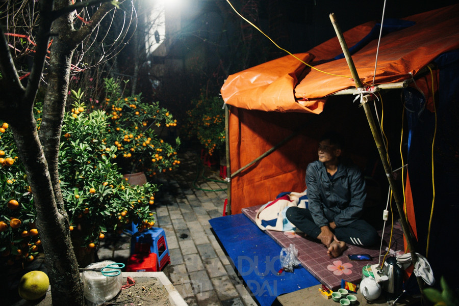 Năm nay dù ra sớm nhưng lượng khách đến mua trực tiếp rất ít, nên có thể ăn nay hàng ế sẽ nhiều hơn; anh Sơn cho biết thêm.