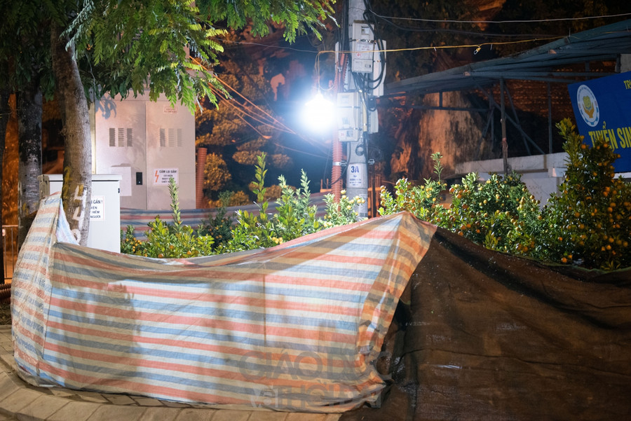 Tại nhiều điểm khác trên đường Lạc Long Quân, bạt được phủ quanh các gian hàng nhỏ.