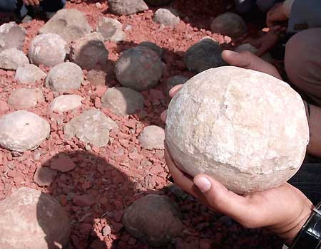 Nguyên nhân vì sao những quả trứng này không thể nở đang được nghiên cứu thêm Nguyên nhân vì sao những quả trứng này không thể nở đang được nghiên cứu thêm