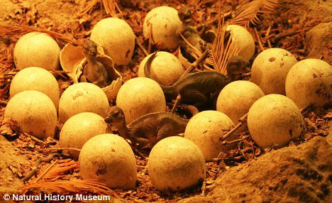 Hình ảnh mô phỏng những quả trứng khủng long khi nở Hình ảnh mô phỏng những quả trứng khủng long khi nở