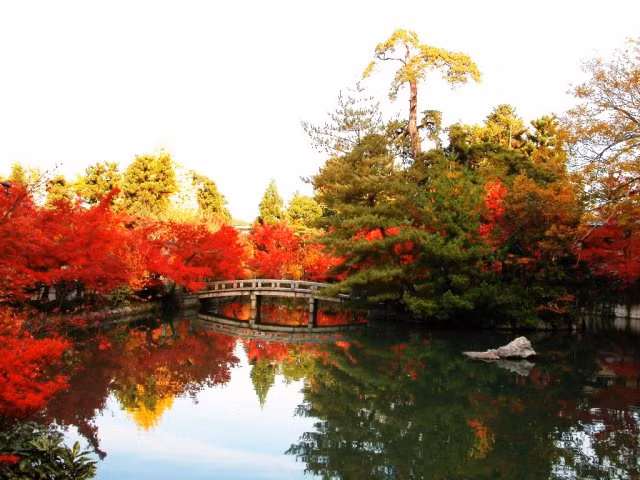 Chùm ảnh: Sắc lá phong mùa thu ảnh 3