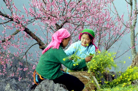 Kinh tế, mùa xuân, Alan Phan