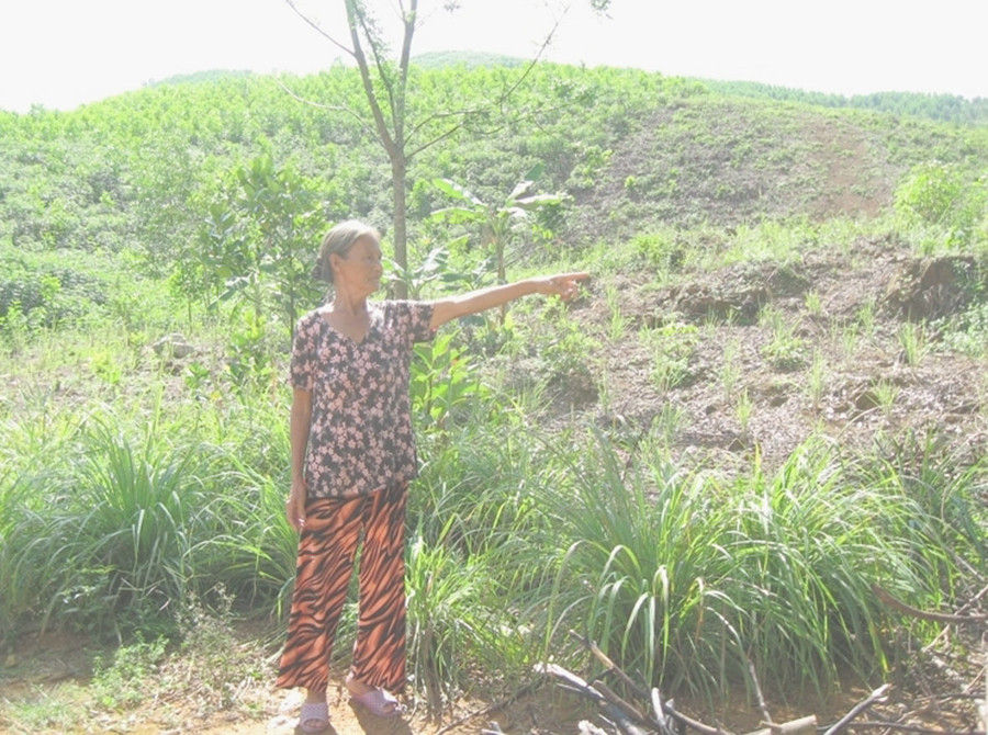 Khu vườn bà Hoàng Thị Tư tại khu định cư Bồ Hòn 6 năm cây ăn quả không lên nổi