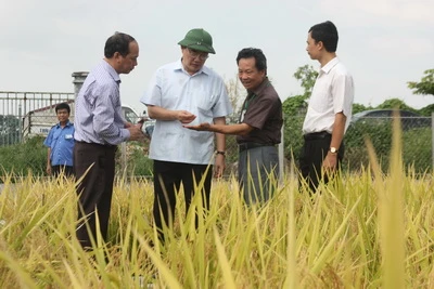 &quot;Trường ĐH Nông nghiệp HN cần đầu tư cho cơ sở vật chất&quot;