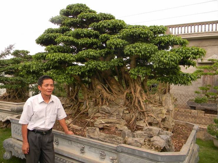 Ông Đỗ Quốc Hùng bên vườn cây có giá trị gần 100 tỷ đồng Ông Đỗ Quốc Hùng bên vườn cây có giá trị gần 100 tỷ đồng