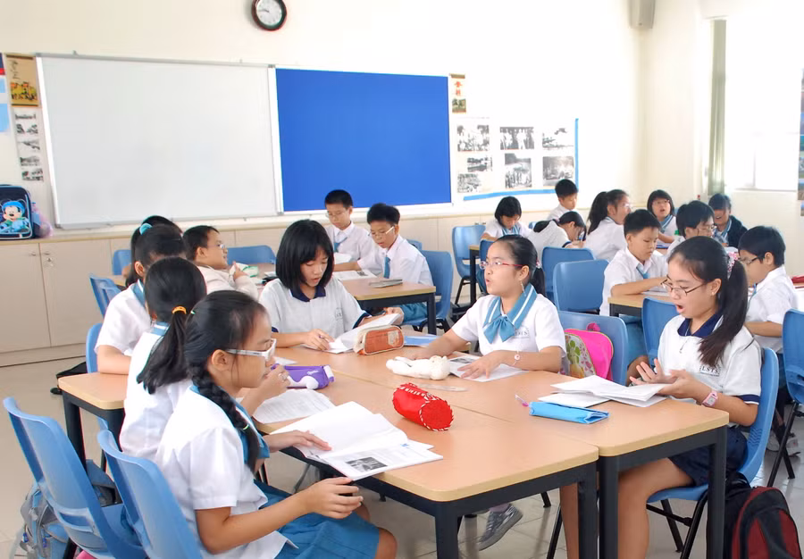 Ồn ào chạy đua học trái tuyến