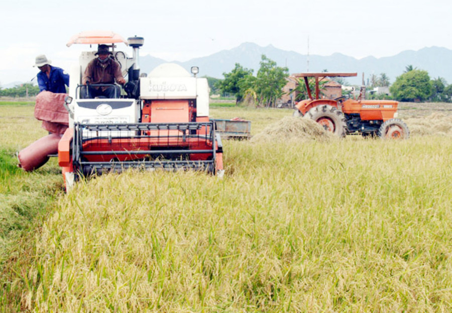 Giảm nghèo bền vững và xây dựng nông thôn mới là những ưu tiên của Chính phủ Giảm nghèo bền vững và xây dựng nông thôn mới là những ưu tiên của Chính phủ