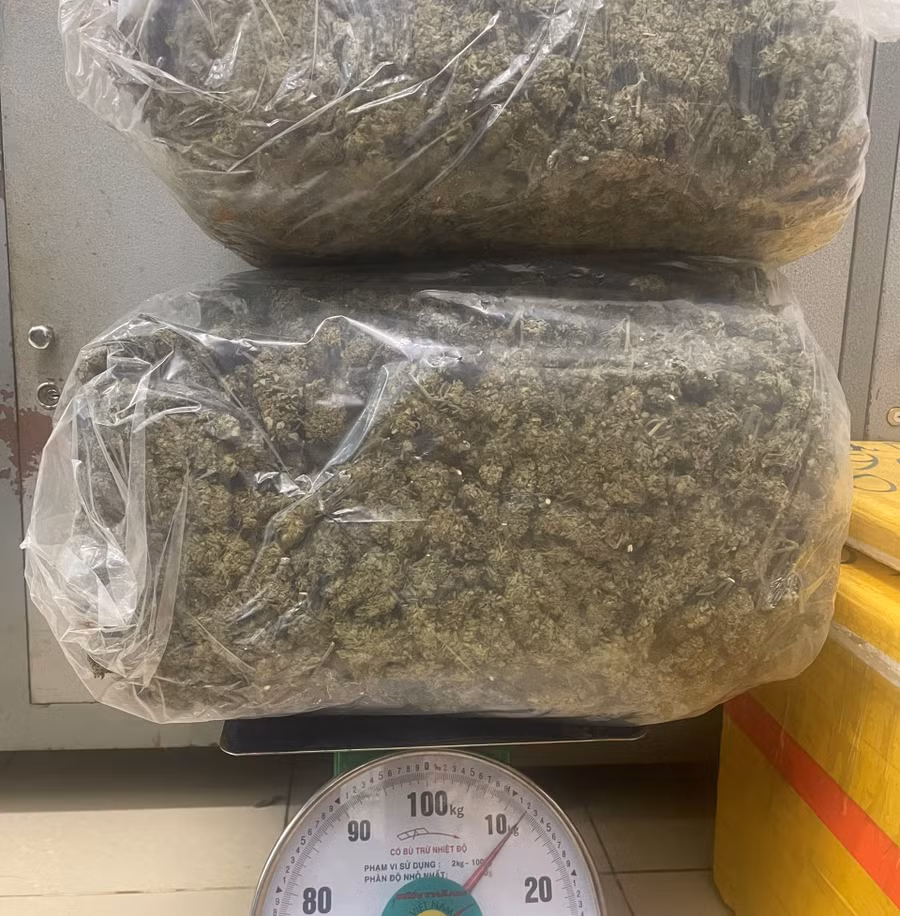 Số lượng cần sa khô do lược lượng công an thu giữ tại nhà một đối tượng.