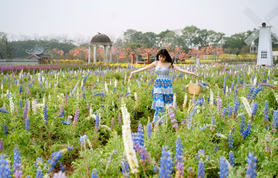 Giới trẻ Thủ đô thích thú check-in với hoa lần đầu xuất hiện tại Hà Nội.