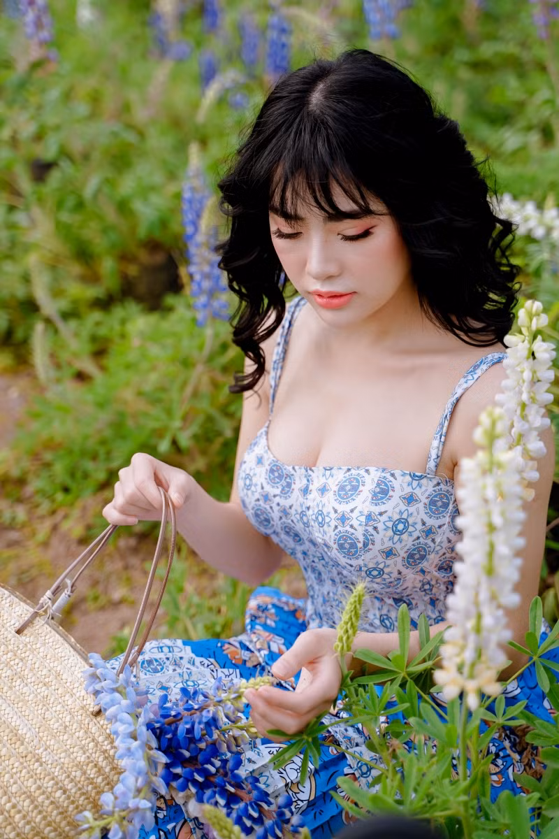 Giới trẻ ‘phát sốt’ với cánh đồng hoa đậu Lupin rực rỡ sắc màu giữa lòng Thủ đô ảnh 12