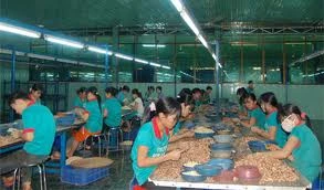 9 tháng: Gần 49.000 DN phá sản, thua lỗ