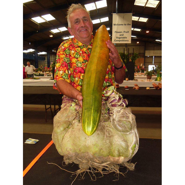Những hình ảnh ấn tượng trong tuần ảnh 5 Ian Neale holds what he hopes is a record breaking cucumber which he grew. The 107cm (42.12