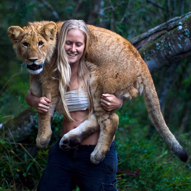 Tamblyn Williams carries six-month-old lion cub Jagger on her shoulders. Jagger arrived at Seaview Lion Park in Port Elizabeth, South Africa, from a different lion park where he was part of a breeding programme. But he was abandoned just days after birth and was taken in by Tamblyn who had just started as a volunteer at the park after moving to South Africa from Sydney, Australia, to study wildlife. She says: 