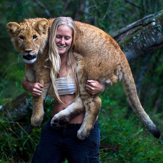 Ảnh đẹp động vật trong tuần ảnh 4 Tamblyn Williams carries six-month-old lion cub Jagger on her shoulders. Jagger arrived at Seaview Lion Park in Port Elizabeth, South Africa, from a different lion park where he was part of a breeding programme. But he was abandoned just days after birth and was taken in by Tamblyn who had just started as a volunteer at the park after moving to South Africa from Sydney, Australia, to study wildlife. She says: