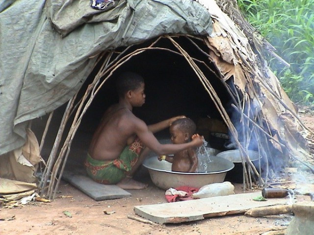 Bí ẩn thế giới người lùn Pygmy ảnh 3 Nơi ở của người Pygmy