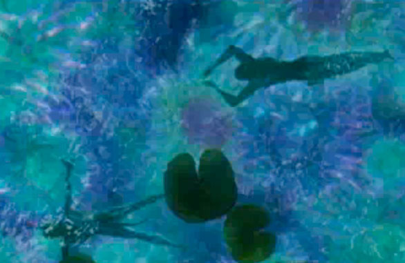 James Cameron tiết lộ nội dung &quot;Avatar 2 &amp; 3&quot; ảnh 2