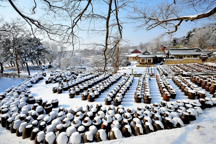 Du khách được trải nghiệm làm món kim chi truyền thống của Hàn Quốc Du khách được trải nghiệm làm món kim chi truyền thống của Hàn Quốc