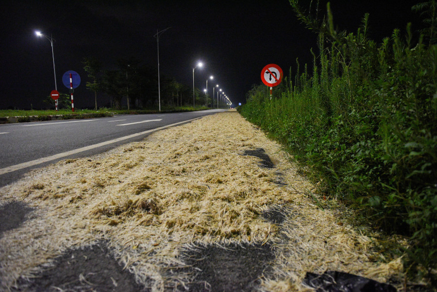 Lông gia cầm được vứt, phơi chiếm hết 1 làn đường.