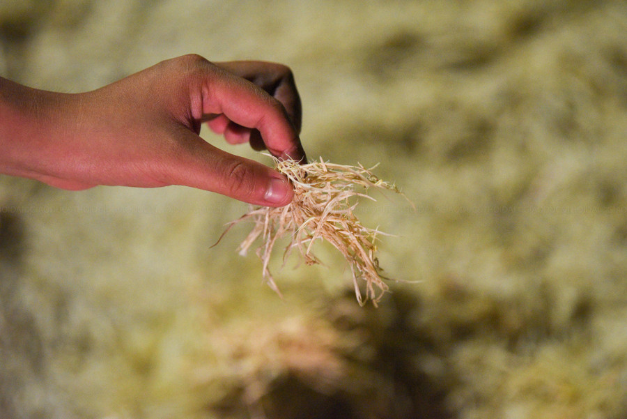 Những ngày mưa lại rất trơn, rất dễ xảy ra tai nạn giao thông, anh Tài cho biết thêm.