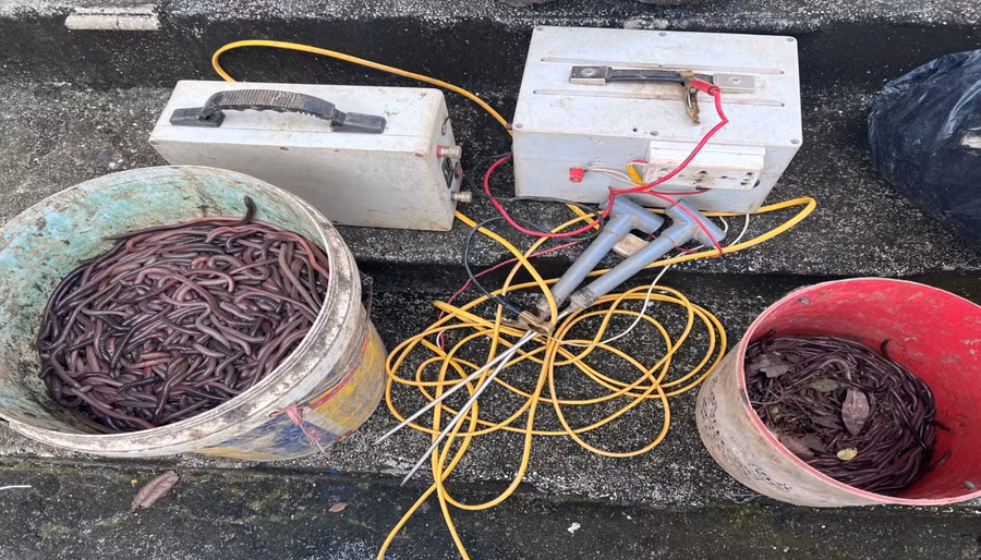 Cơ quan chức năng lập biên bản và tạm giữ bộ dụng cụ kích điện. (Ảnh: Ngọc Huy).