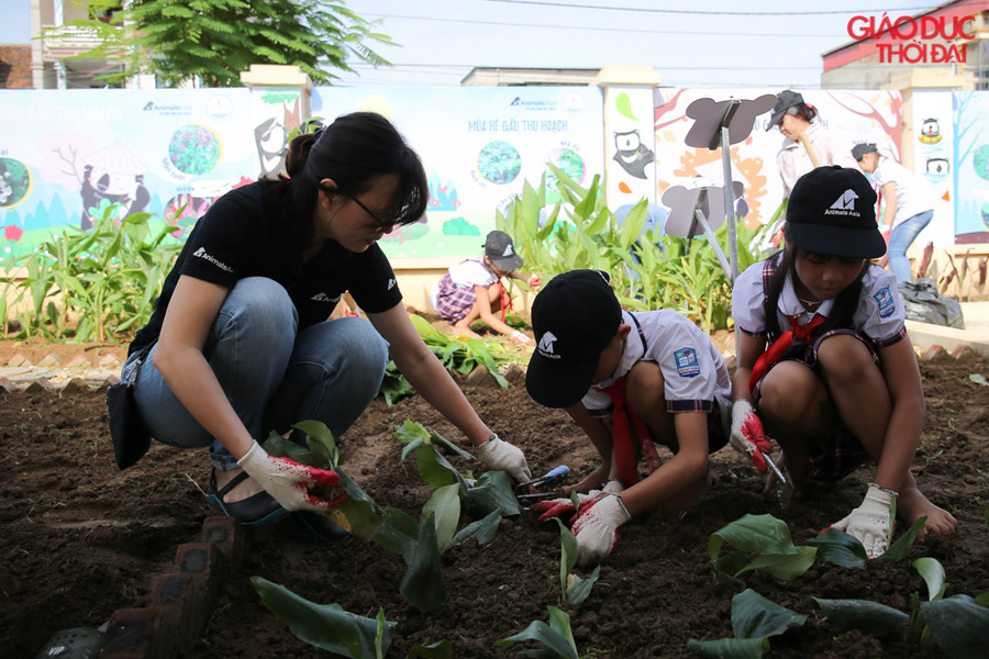 Đây là công trình vườn sinh học trồng các loài thảo dược thay thế mật gấu thứ hai tại trường học được Tổ chức Động vật Châu Á tài trợ.