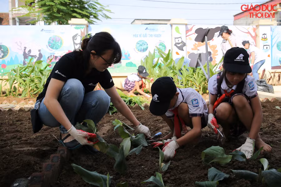 Đây là công trình vườn sinh học trồng các loài thảo dược thay thế mật gấu thứ hai tại trường học được Tổ chức Động vật Châu Á tài trợ.