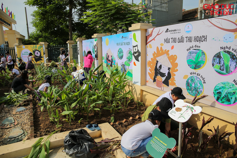 Tổ chức Động vật Châu Á cùng với nhà trường sẽ giao cho chính các em học sinh cùng chăm tưới cây ngoài giờ học, cũng là một cách bồi đắp kĩ năng sống xanh, thân thiện với thiên nhiên, góp phần nâng cao chất lượng giáo dục toàn diện.